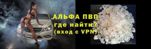 сатива Куйбышев