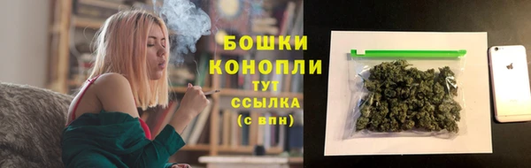 сатива Куйбышев