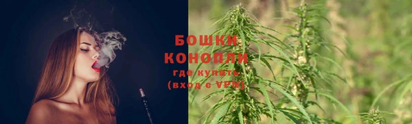 амф Кукмор