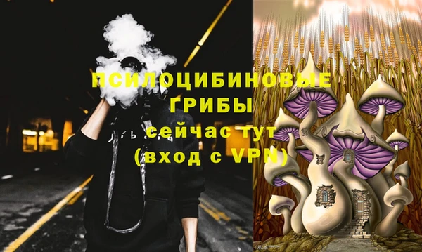 амф Кукмор