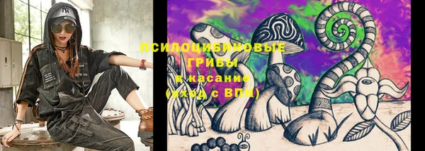 сатива Куйбышев