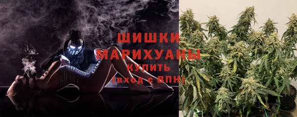 сатива Куйбышев