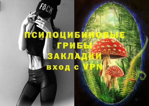 амф Кукмор