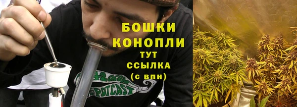сатива Куйбышев