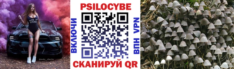 Купить закладки  Киселёвск  Псилоцибиновые грибы MAGIC MUSHROOMS 
