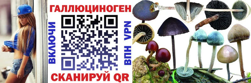 Галлюциногенные грибы Magic Shrooms Киселёвск